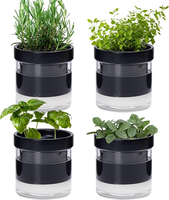 Phoenix Vine 4 Inch Self Watering Planter Pot by Phoenix+Vine
