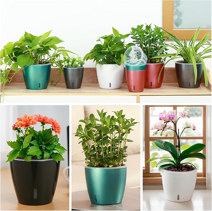 Self Watering Pots for Indoor Plants, Small African Violet Pots - Image 6