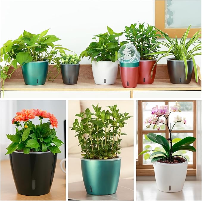 8-Pack 5 Inch Self Watering Pots, Indoor Planter - Image 2