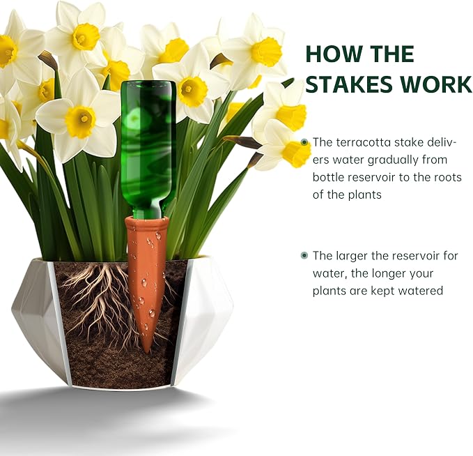 Terracotta Watering Spikes, Wine Bottle Watering Stakes, Slow Release Self - Image 3