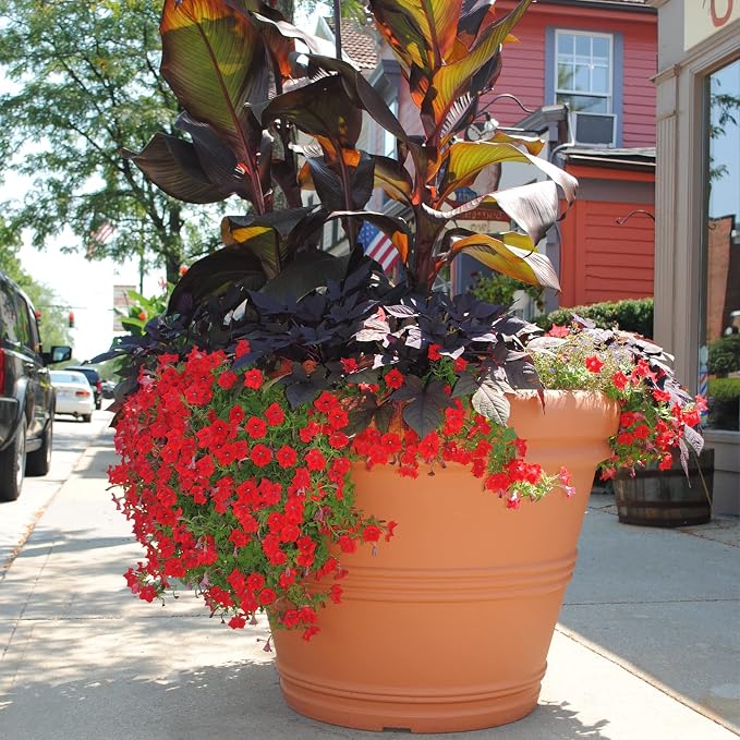 Tusco Products Rolled Rim Garden Planter - Image 3