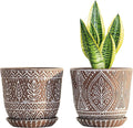 Gepege 6 Inch Ceramic Planter, Plant Pot by Gepege
