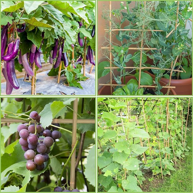 Plant Stakes, 4.8FT Longer Sturdy Natural Bamboo Garden Stakes, GAGINANG 20Pcs - Image 6