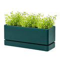 D'vine Dev 12 Inch Window Box Planter, Rectangle Plastic Herb Planter by DvineDevPlanterPotsandStand