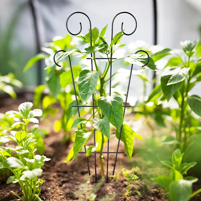 4 Pack 43'' Indoor Plant Trellis - Image 5