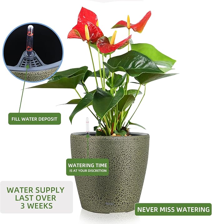 Dexceder 18x17 Self Watering Planter - Image 5