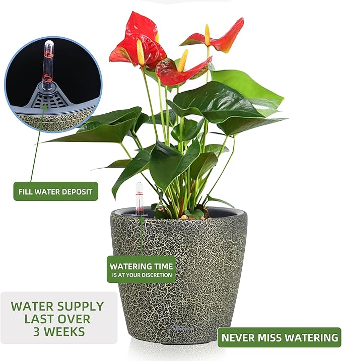 Dexceder 11x10 Inches Self Watering Planter Indoor Outdoor, Inner Pot Design - Image 5