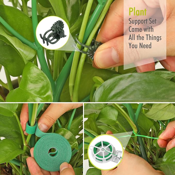 6 Pack Plant Support Stakes for Indoor Plants, 27.56 Inch Twig Plant Sticks - Image 4