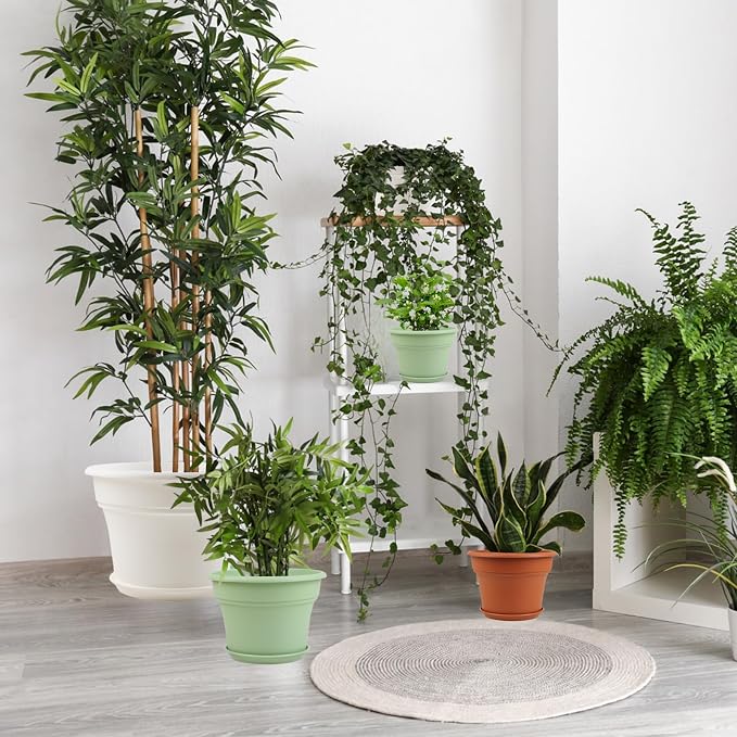 6 Inch Plastic-Flower Pot-for-Indoor Plants, 6 Pack Outdoor Plant Pots - Image 6