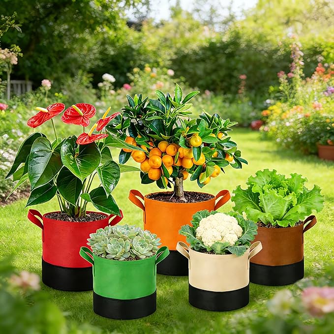 3 Gallon Fabric Grow Bags 5-Pack, 350G Heavy Duty Nonwoven Plant Pots - Image 7