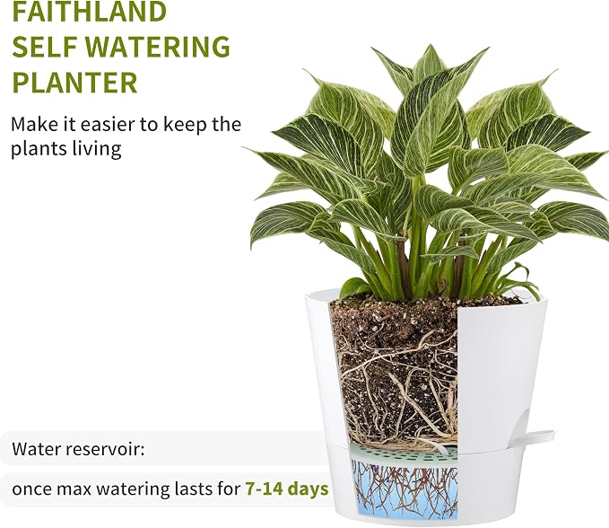 FaithLand 2-Pack 9 Inch Planter Pots - Image 3