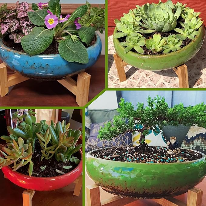 Succulent Pots, 10 Inch Large Succulent Planters - Image 6