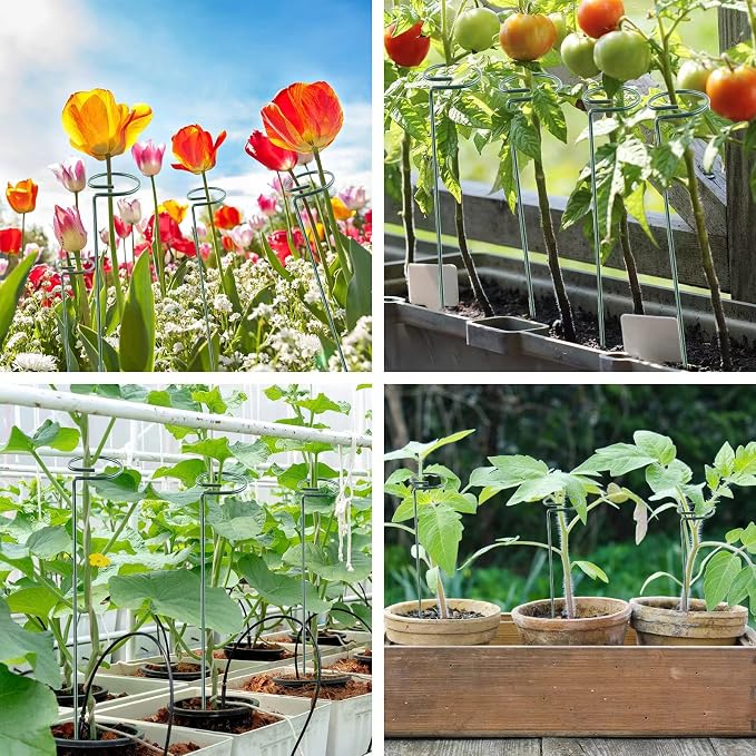 24 Inch 12 Packs Plant Support Stakes, Garden Single stemmed Plant Support Hoops - Image 5