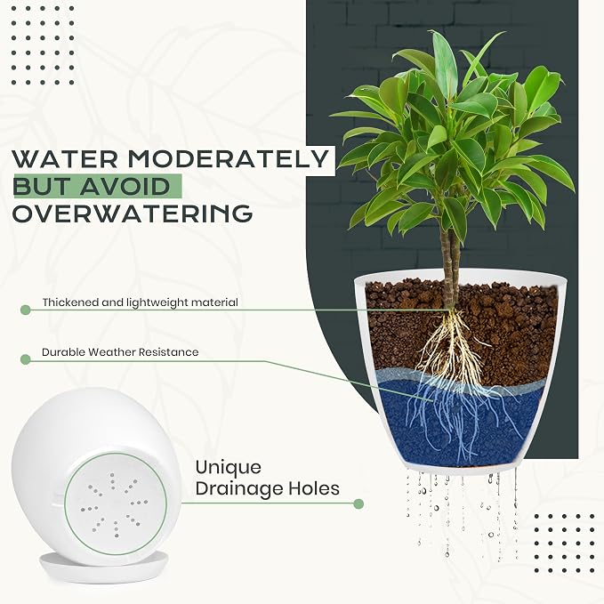 Utopia Home - Plant Pots Indoor - 7/6.6/6/5.3/4.8 Inches Flower Pots - Image 3