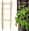 Avalution 10 Pack Natural Bamboo Trellis by Avalution