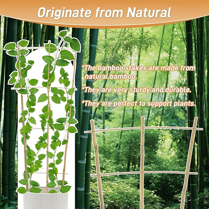 10 Pack 2ft Bamboo Trellis for Climbing Plants-Natural Garden Ladder Trellis - Image 3