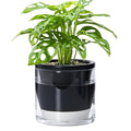 D'vine Dev 6 Inch Design Self Watering Planter by DvineDevPlanterPotsandStand