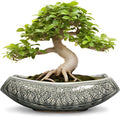 Bonsai Pots 18 Inch by Teagas