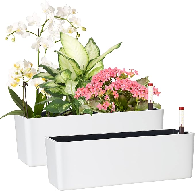 GardenBasix Elongated Self Watering Planter Pots 2-Pack Window Box 5.5 x 16 by GardenBasix