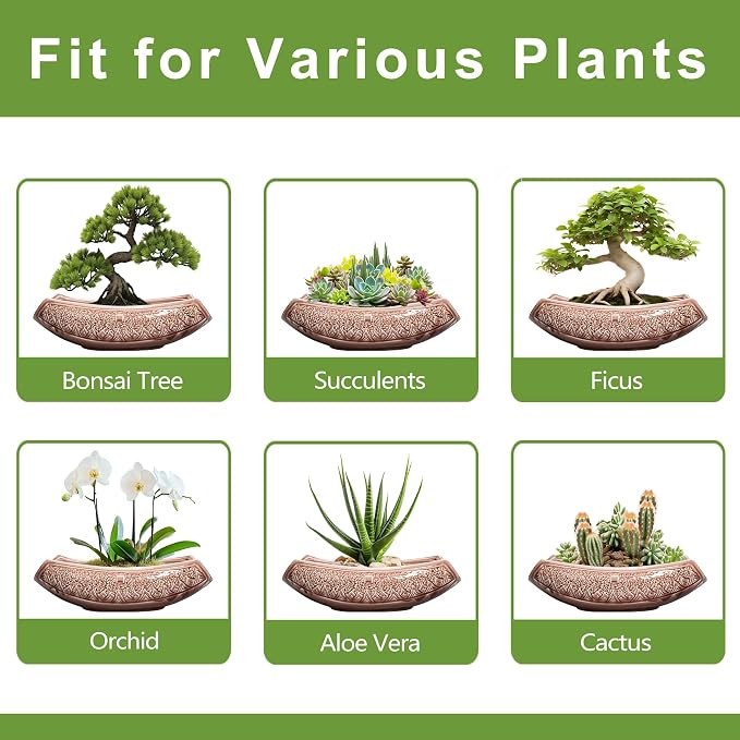 Large Bonsai Pots - Image 7