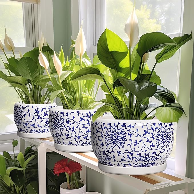 SQOWL 6 Inch Planter - Image 5