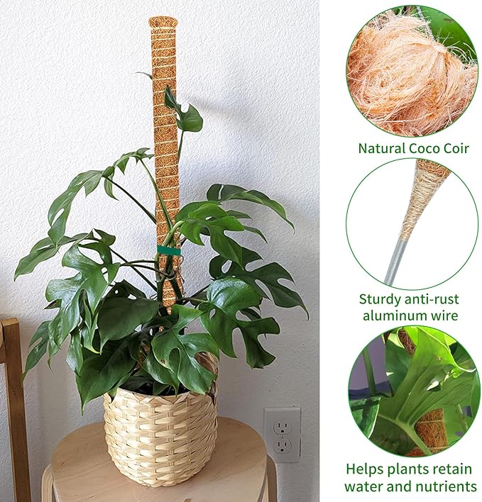2 Pack 60 Inch Moss Pole Monstera Plant Support, Coir Moss Poles - Image 8