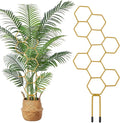 Grevosea 14 Inch Trellis for Climbing Plants Indoor, Plant Trellis Indoor Small by Unknown