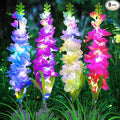 Solar Garden Lights, Solar Delphinium Flowers Lights 8 Pack 160 LEDs, by MRHEPHAESTUS