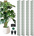 60" Metal Moss Pole, D Shape Sphagnum Moss Pole, Moss Poles by HOLANHING