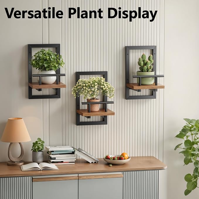 Floating Shelves for Wall, Plant Shelf Indoor, Wall Planters for Indoor - Image 6