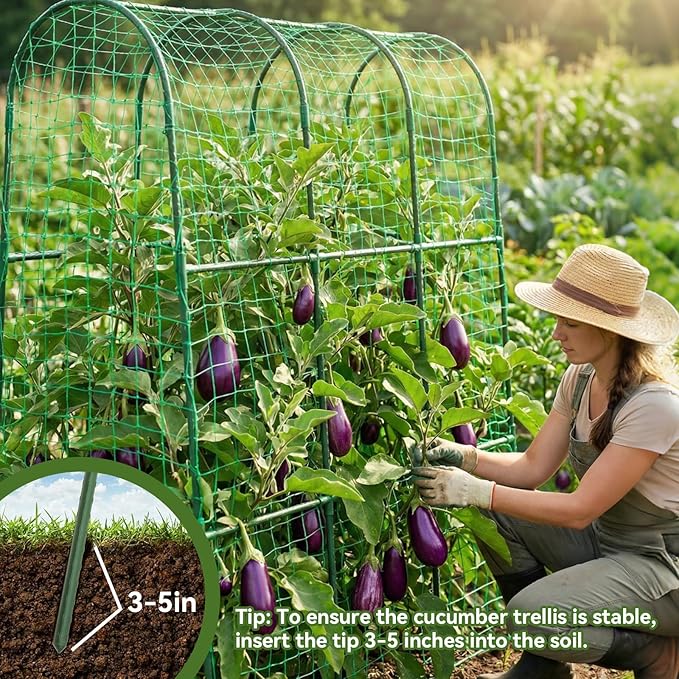Cucumber Trellis for Raised Bed, U-Shape Garden Trellis for Climbing Plants - Image 3