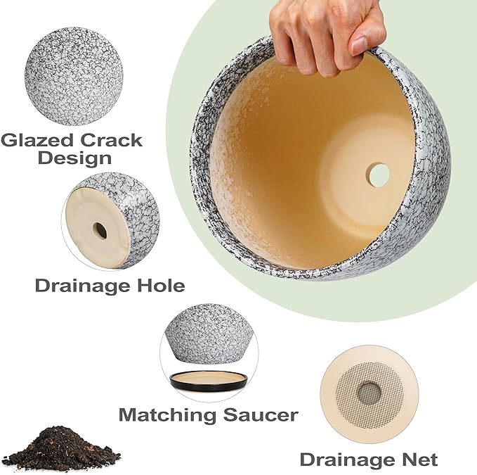 10 Inch Plant Pot - Image 6