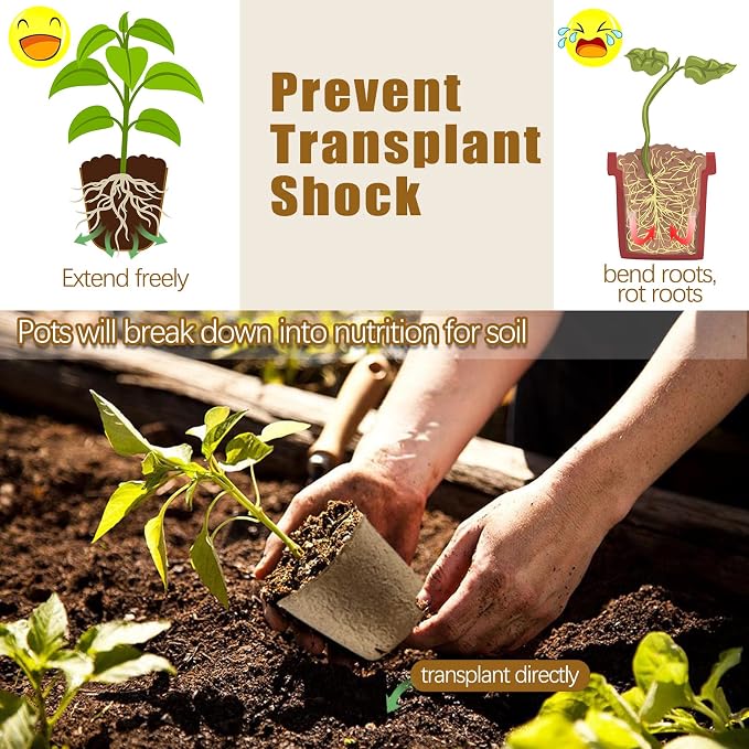 REMIAWY Peat Pots, 34 Pack 3.15 Inch Biodegradable Planting Peat Pots - Image 4