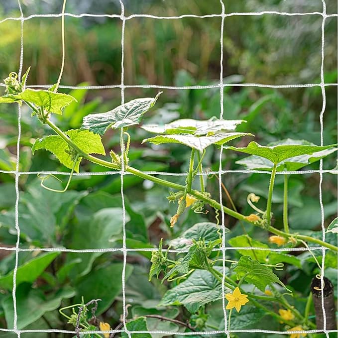 Tcamp Garden Trellis Netting for Plants by Tcamp
