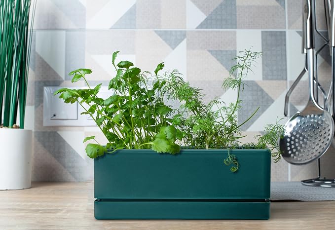 D'vine Dev 12 Inch Window Box Planter, Rectangle Plastic Herb Planter - Image 5