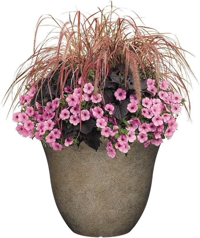 Classic Home and Garden Honeysuckle Resin Flower Pot Planter, Fossil Stone - Image 5