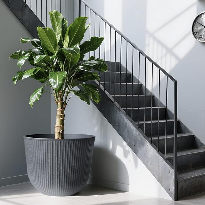 WORTH Garden Round Large Planter Pot 1-Pack - Image 7