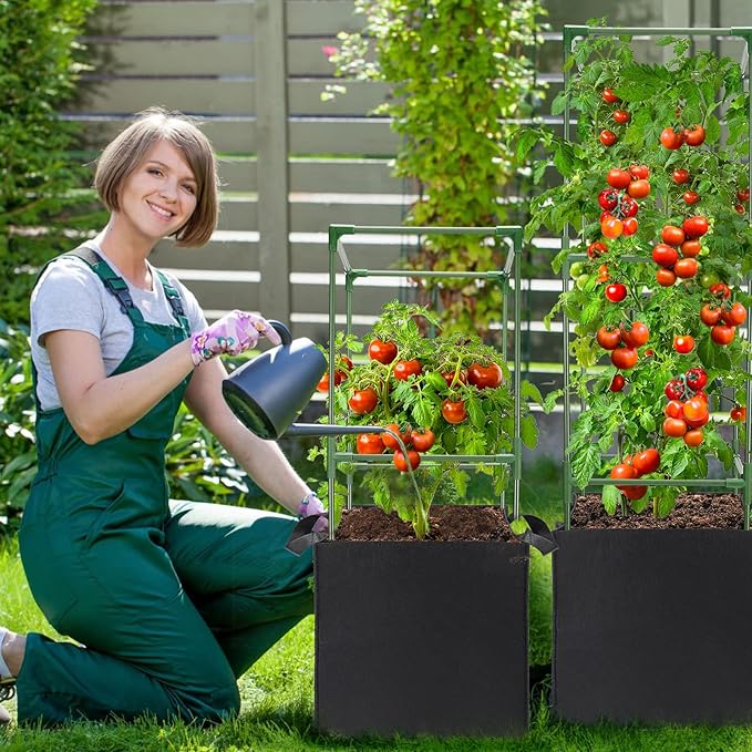 ANPHSIN 2 Sets Tomato Cages - Image 6