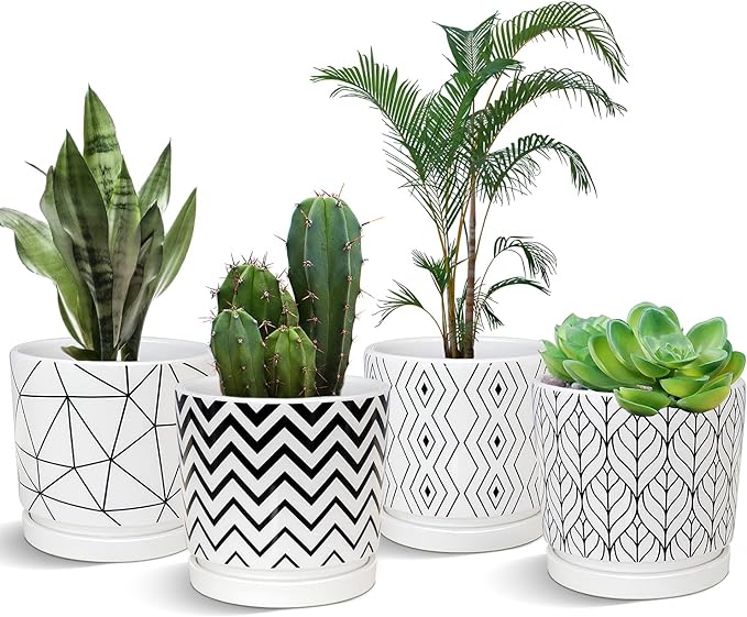 Ton Sin Plant Pots, 5.5 Inch White Pots by TonSin