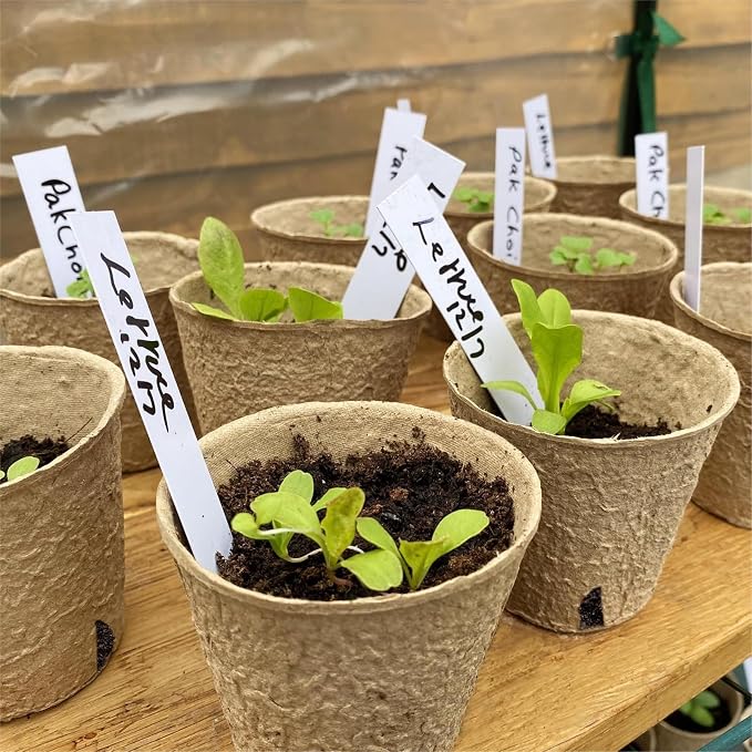 Dalzom® 60Pcs 4” Peat Pots - Image 6
