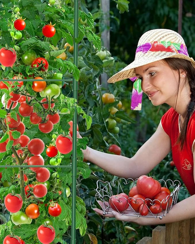 8 Pack Tomato Cages for Garden, 51in*13in Adjustable Tomatoes Plant Stakes - Image 9