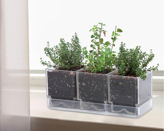 D'vine Dev Herb Garden Planter Set, Plastic Plant Pots - Image 2