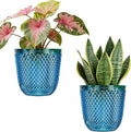QCQHDU 2 Pack Self Watering Pots, 5.7 Inch Flower Pots by QCQHDU