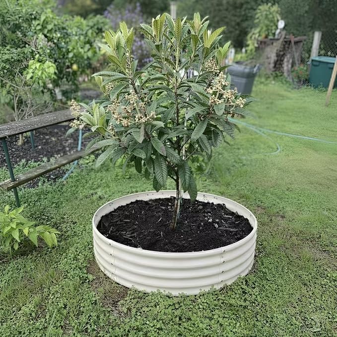 Round Galvanized Raised Garden Bed, Flowers & Herbs, Heavy Duty Rust-Resistant - Image 7