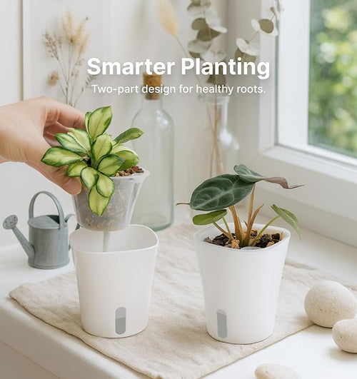 10 Pack 3" Self Watering Pots for Indoor Plants, Small White Plastic Planters - Image 2