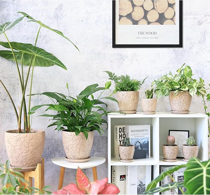 8 Inch + 6 Inch Retro Ceramic Planter Set of 2 - Image 6
