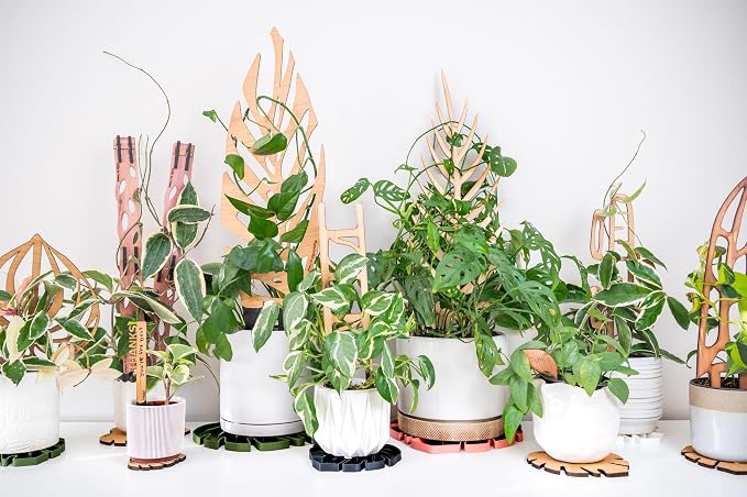 Treleaf Zella Grande Starter Kit – Wooden Extendable Plant Trellis - Image 5