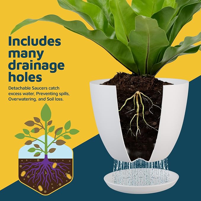 Multicolor Plant Pots with Drainage Holes & Saucers 15 Pack, Indoor & Outdoor - Image 6