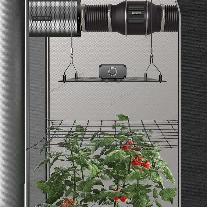 AC Infinity Grow Tent Trellis Netting 2x4', Heavy-Duty Elastic Plant Net - Image 5