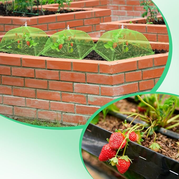 6 Sets Strawberry Plant Support - Image 4